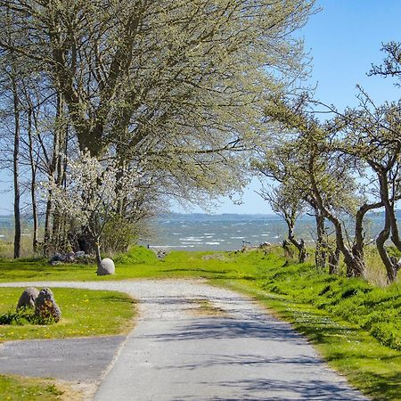 Vila Stryno Living Rudkøbing Exteriér fotografie